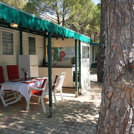 Chalets Met Buitenkeuken Op Camping Lei Suves - Joycasa รอกเกอบรูน-ซูร์-อาร์ฌ็องส์ ภายนอก รูปภาพ